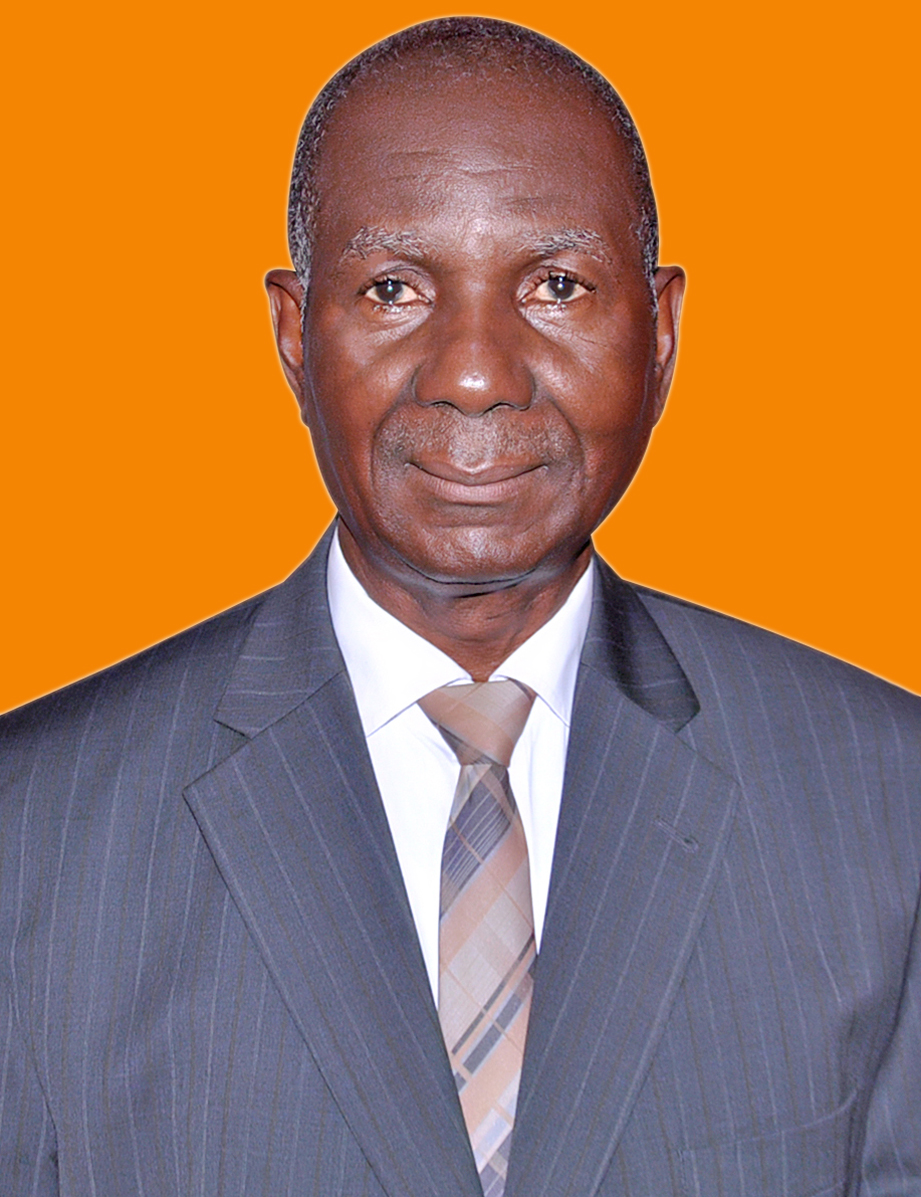 M. DOGOH N'Guessan Laurent